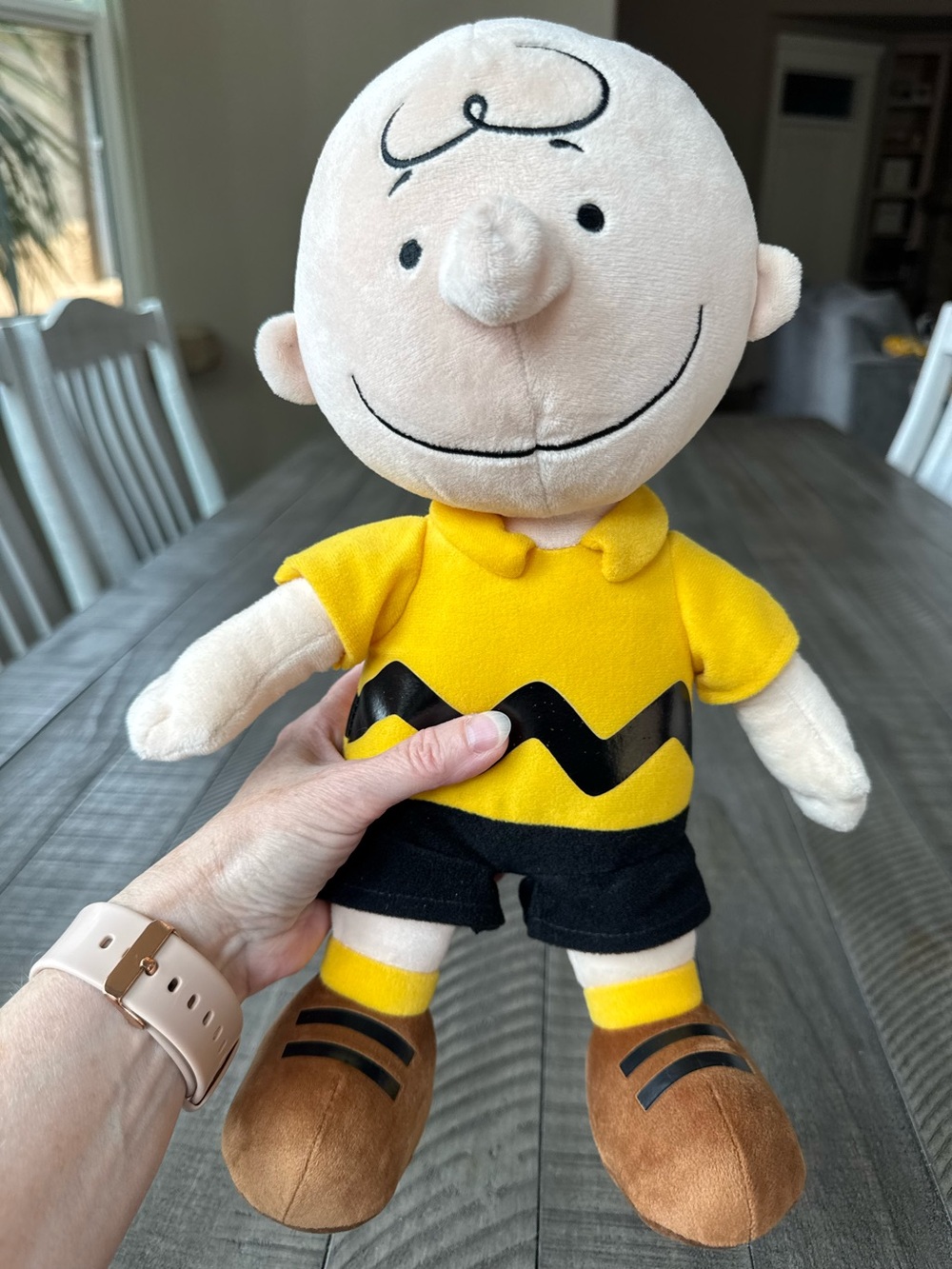 Charlie Brown Peanuts Comics Srtip Plush Doll - Kohl's Cares
